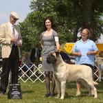 14 mos - a new Champion with his 4th major! Thank you Judge Jon Cole!