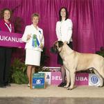 Eukanuba Award of Excellence 2! - 20 mos